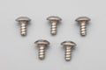 Titanium M2.6x5mm チタン製 タッピングスクリュー 5本入
