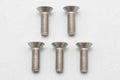 M3x10mm チタン製 皿ソケットスクリュー 5本入