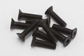 M3x12mm 皿ソケットスクリュー 10本入