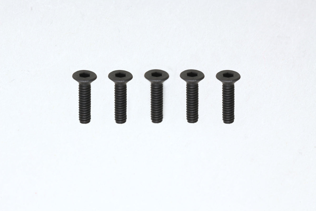 M2x8mm FHスクリュー (5本入)